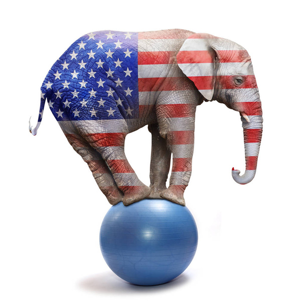Republican elephant isolated on white. - Photo, Image