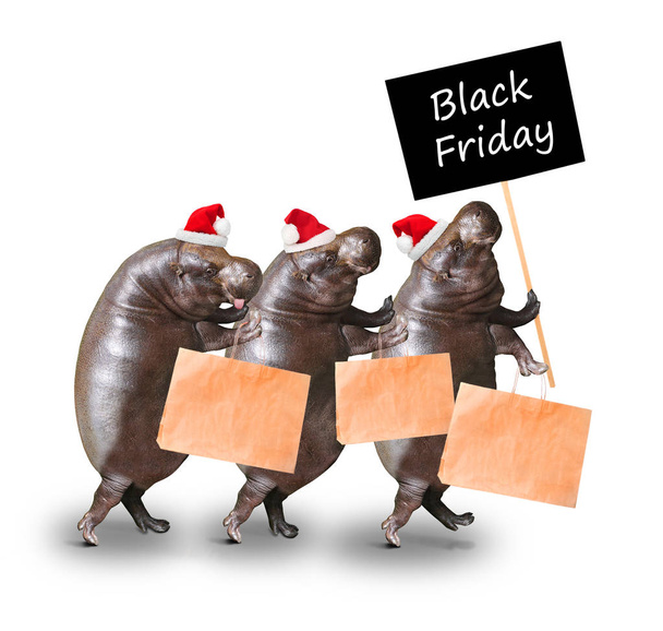 Three hippos going to Black Friday. - Photo, Image