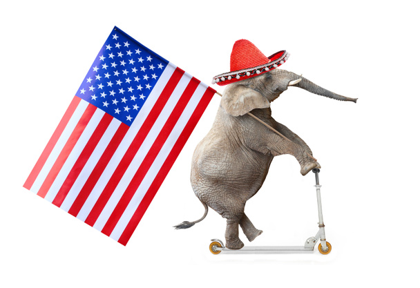 Τρελό ελέφαντας με σομπρέρο και αμερικανική σημαία οδηγώντας ένα σκούτερ ώθησης. Ρεπουμπλικανικό ελέφαντας πηγαίνει σε εκλογές. Ψηφιακά έργα τέχνης σε πολιτικό θέμα. - Φωτογραφία, εικόνα