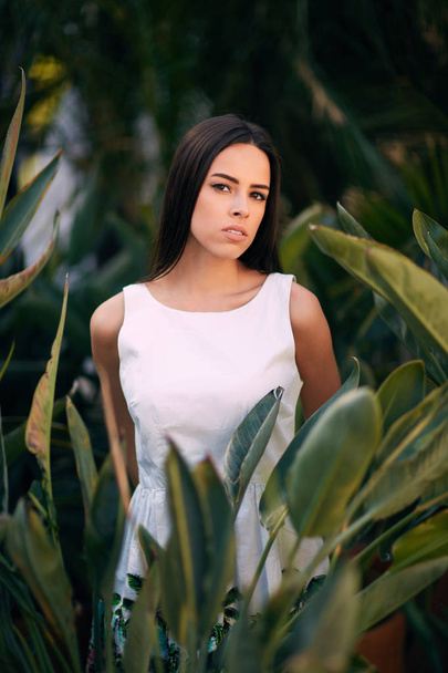 An attractive brunette girl. A thoughtful young female. A lady in a white dress on a tropical garden background. A sensual girl. - Photo, image