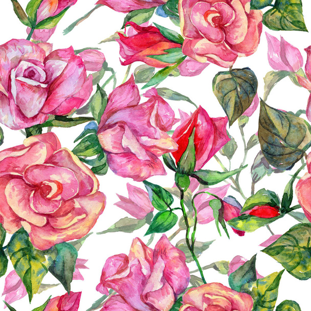 Wildflower rosa flower pattern in a watercolor style. - Photo, Image