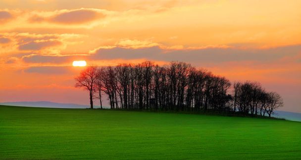 Geri kalan tarım manzara bir ormanda. Güzel gün batımı karşı ağaçlarının silhouettes. Slavkovsky Les, Çek Cumhuriyeti, Orta Avrupa'da bahar erken sahne. Sıcak filtre uygulanmış resim. - Fotoğraf, Görsel