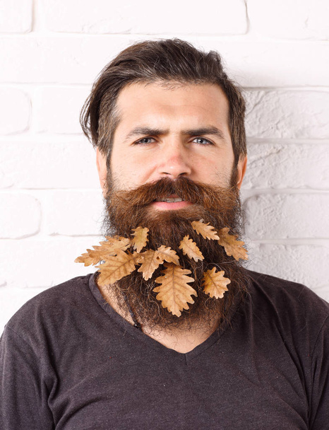 hipster with leaves in beard - Fotoğraf, Görsel