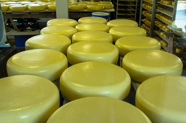sýr na trhu - Fotografie, Obrázek