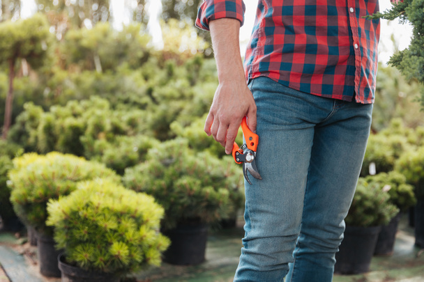 jardineiro com tesouras de poda na mão
 - Foto, Imagem