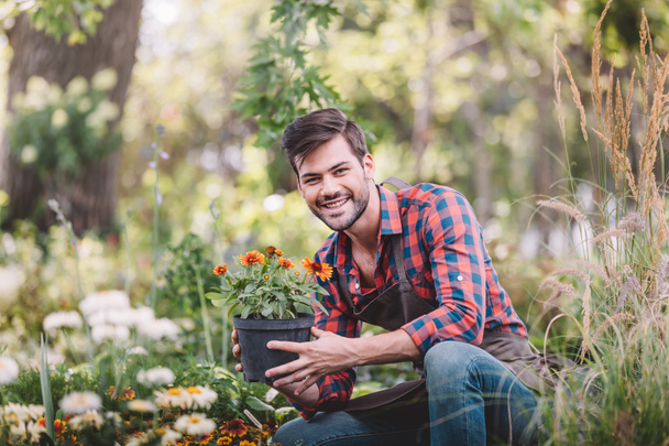 jardinier avec pot de fleurs dans les mains
 - Photo, image