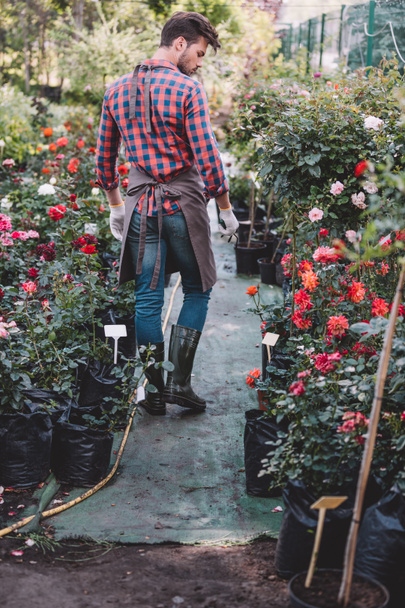 jardinero en delantal caminando en jardín
 - Foto, Imagen