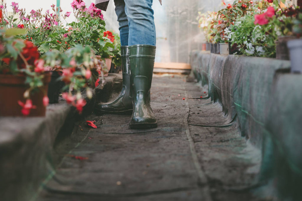 gardener standing in greenhouse - Foto, Bild