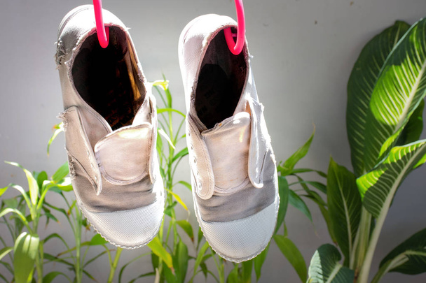 Zapatos blancos secos al sol
 - Foto, imagen