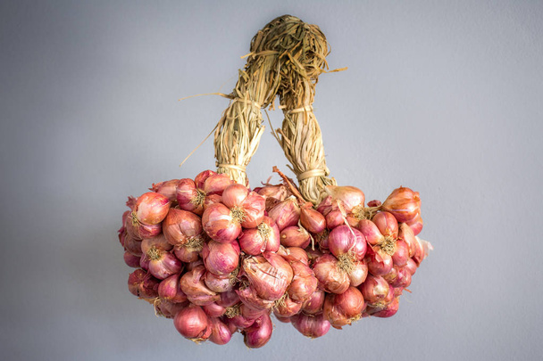 Shallot/ The shallot is a type of onion - Photo, Image