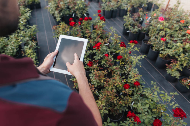 gardener using digital tablet - Фото, зображення