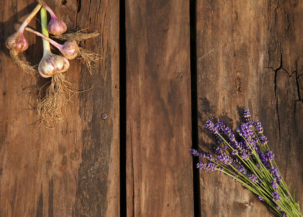 Lavender flower and garlic - Φωτογραφία, εικόνα