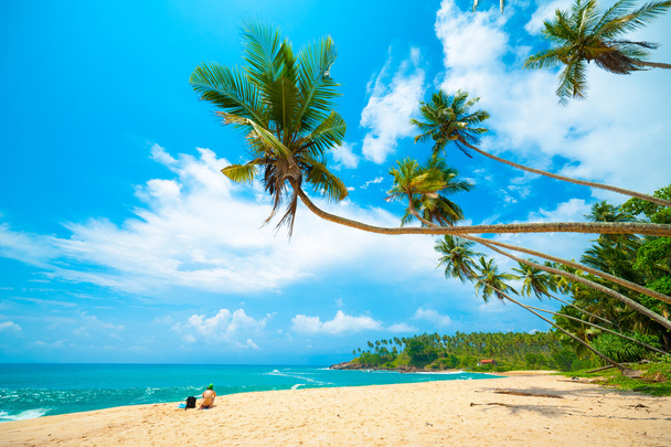 тропічний пляж
 - Фото, зображення