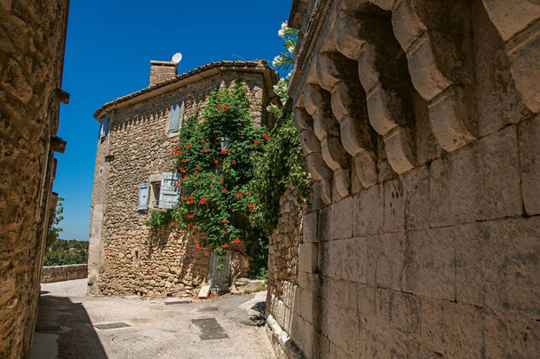 View of typical stone houses with sunny blue sky and flowers, in an alley of the historical village of Menerbes. - Fotoğraf, Görsel