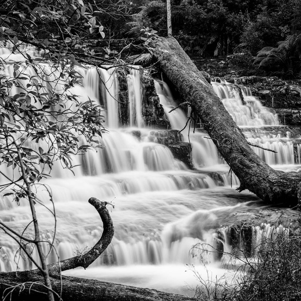 Liffey Falls in de Midlands regio, Tasmanië - Foto, afbeelding