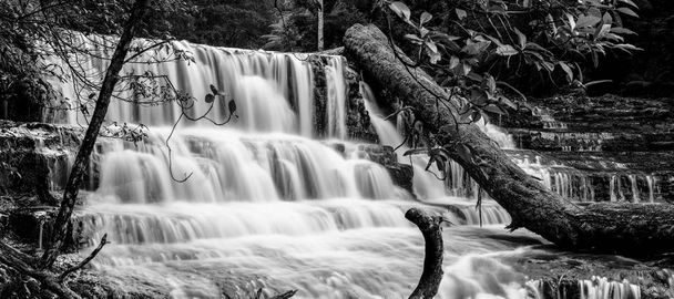 Liffey Falls en la región de Midlands, Tasmania
 - Foto, imagen