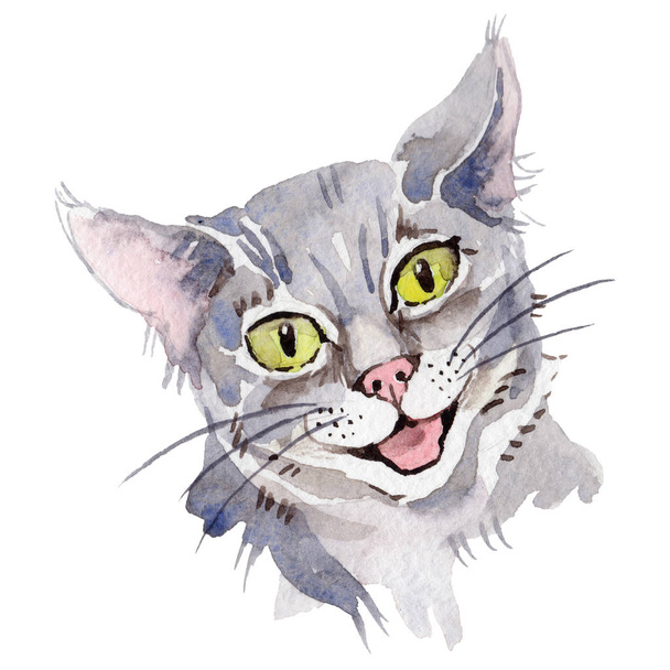 Cat wild animal in a watercolor style isolated. - Photo, Image