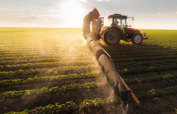 Tractor rociando el campo de soja en primavera
 - Foto, Imagen