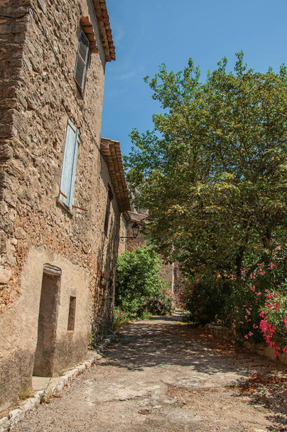 Alley view with houses and trees in Chteaudouble. - Φωτογραφία, εικόνα