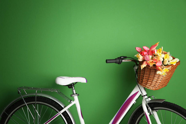Bicycle with basket of flowers  - Fotoğraf, Görsel