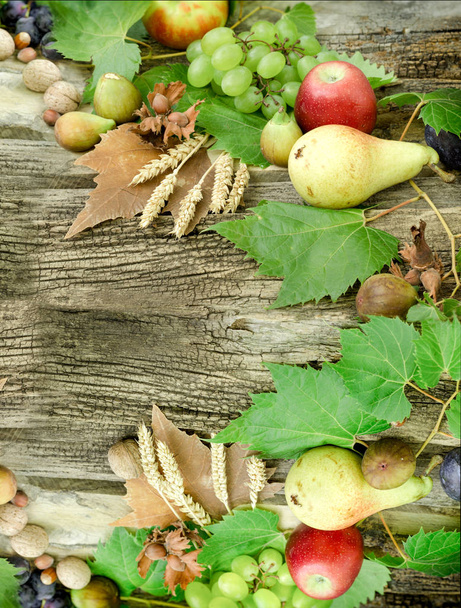 Herfst oogst op rustieke houten tafel - gezonde natuurvoeding - Foto, afbeelding
