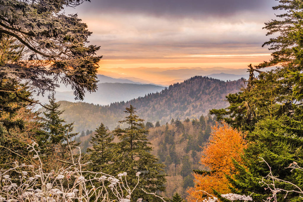 Parc national Smoky Mountains
 - Photo, image