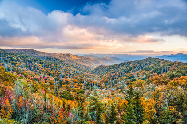 Smoky Mountains kansallispuisto
 - Valokuva, kuva