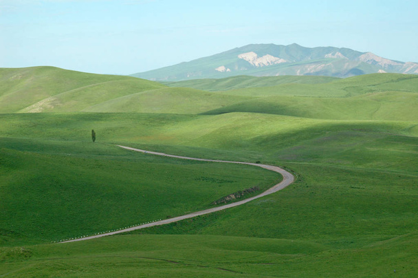 Camino de campo en las verdes colinas
  - Foto, Imagen