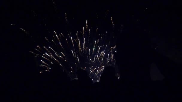 Fényes tűzijáték az éjszakai égen - Felvétel, videó