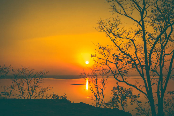 landscape of orange sky with sun beams and silhouette of trees at colorful sunset.  - 写真・画像