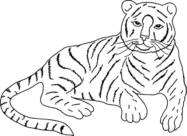 Desenho de tigre deitado, vetor
 - Vetor, Imagem