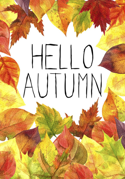 background with autumn leaves - Foto, Imagem