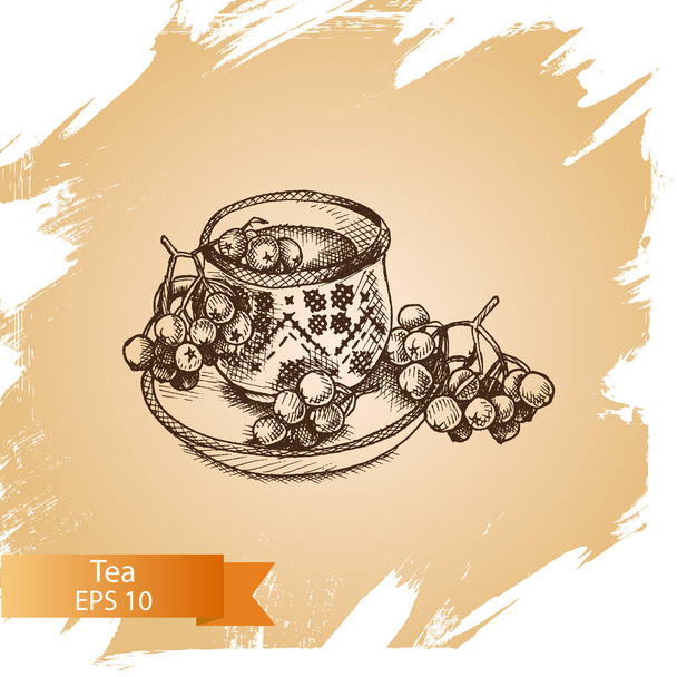 herbal tea sketch - Vector, Image