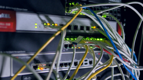 Un montón de cables de conexión conectados a un conmutador de red. 4K
. - Imágenes, Vídeo