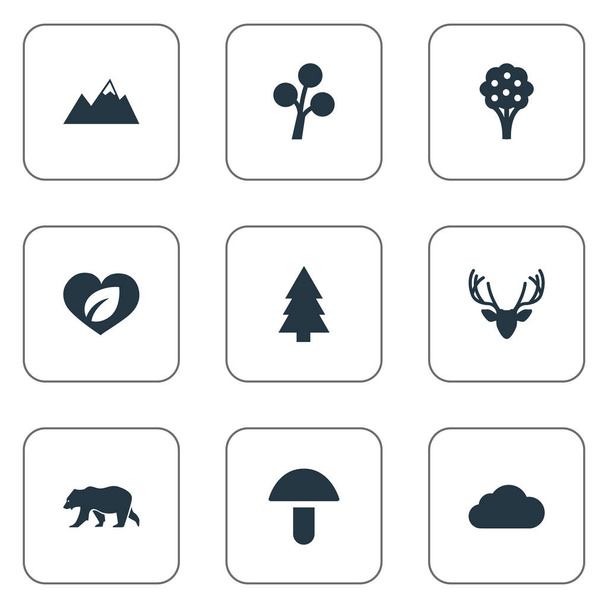 Vector Illustration Set Of Simple Bio Icons. Elements Polar Bear, Champignon, Fir Tree And Other Synonyms Mushroom, Tree And Summit. - Vector, Image