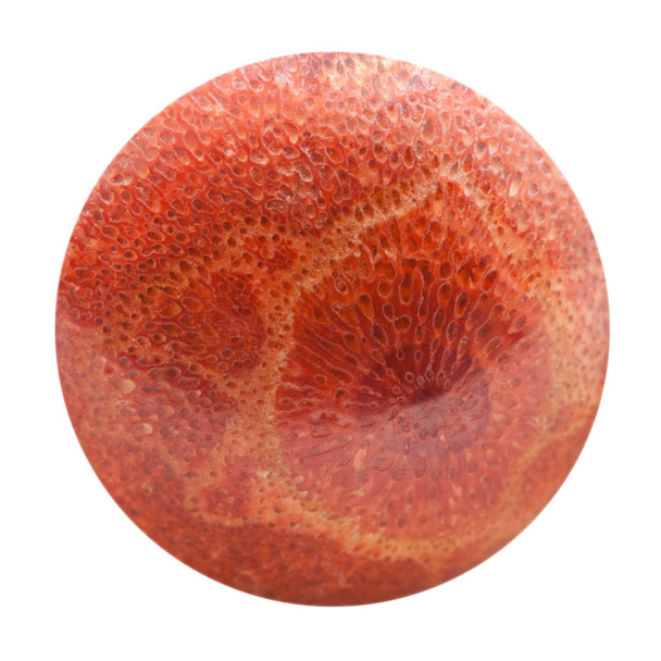 sphere from pressed red coral isolated - Photo, image