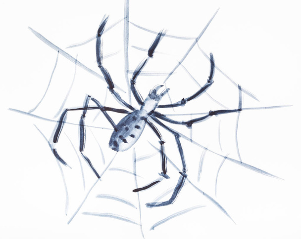 Spider on the web on white paper - Photo, image
