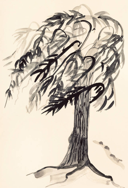 柳の木のスケッチ - 写真・画像