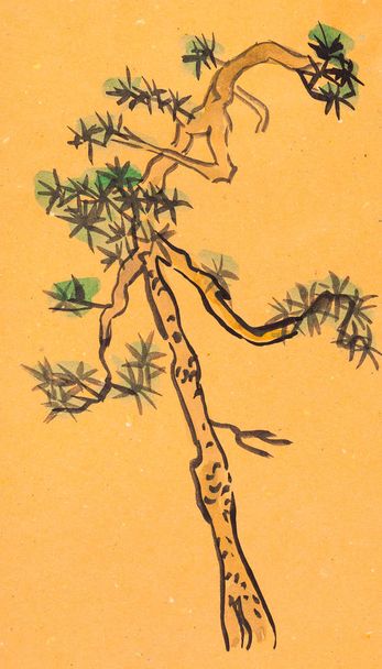 sketch of fresh pine branch - Photo, Image