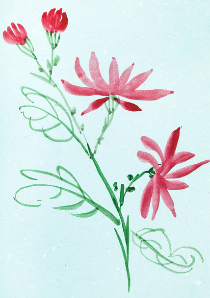mavi renkli kağıt üzerinde kırmızı çiçekler - Fotoğraf, Görsel