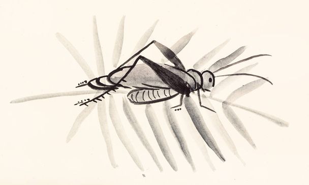 grasshopper on twig - Photo, Image