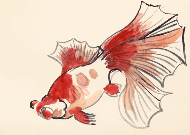 pez dorado rojo sobre papel de color marfil
 - Foto, Imagen