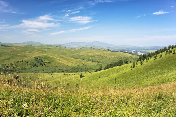Green Hills Covered by Trees and Blue Sky with White Clouds (Altay) - Photo, Image