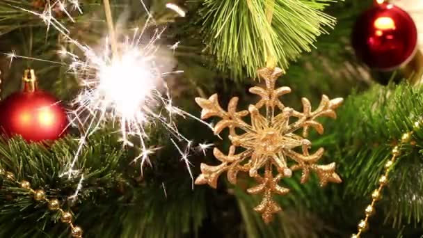gwiazda cristmas - Materiał filmowy, wideo