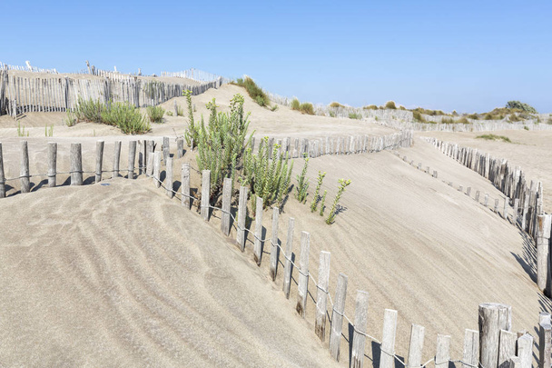 Dune landscape with fences on L 'espiguette beach in the Camargue district, Southern France
 - Фото, изображение