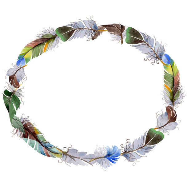 Watercolor bird feather wreath from wing. - Fotoğraf, Görsel