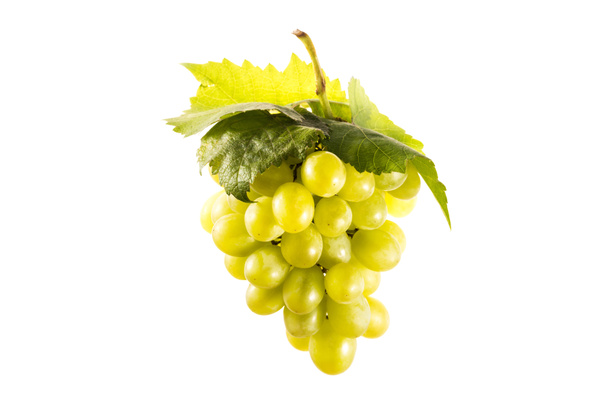 klastra ze świeżych winogron - Zdjęcie, obraz