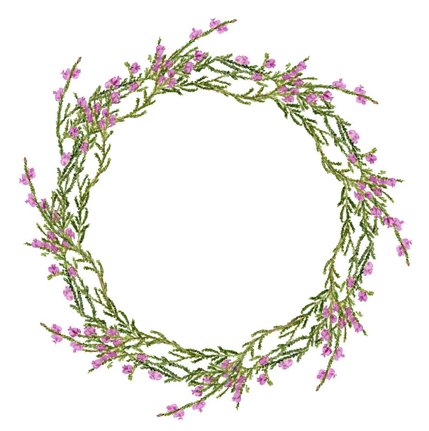 Round frame with heather - Foto, afbeelding