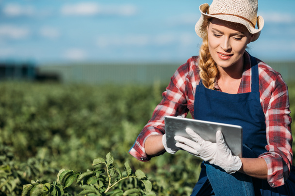 Landwirt arbeitet mit digitalem Tablet - Foto, Bild