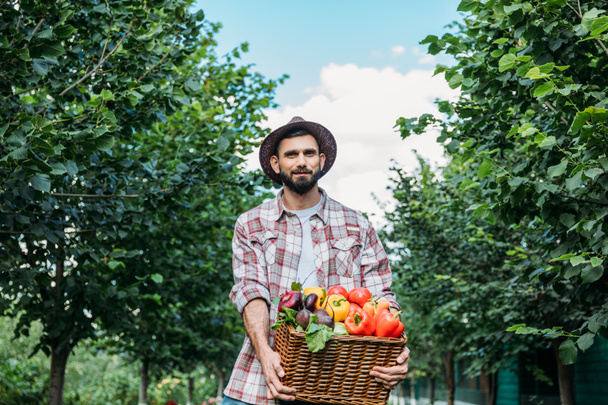 Campesino con canasta de verduras
 - Foto, Imagen